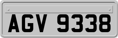 AGV9338