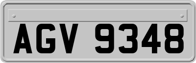 AGV9348