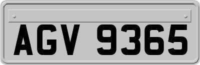 AGV9365