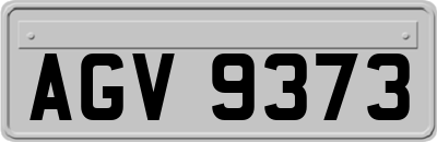 AGV9373