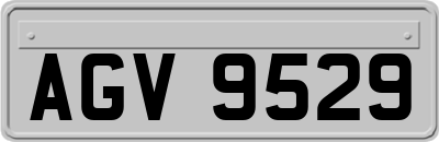 AGV9529