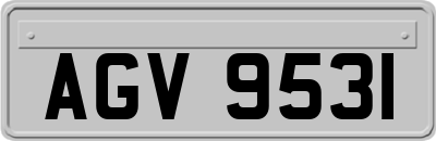 AGV9531