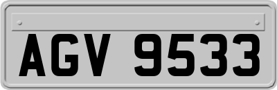 AGV9533