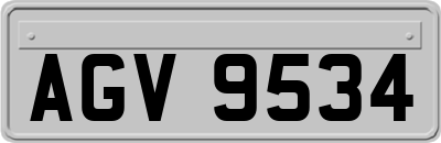 AGV9534