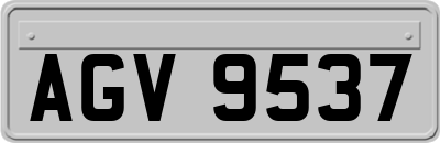 AGV9537