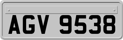 AGV9538