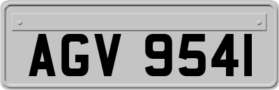 AGV9541