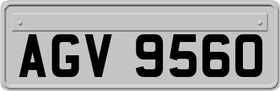 AGV9560