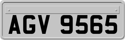 AGV9565