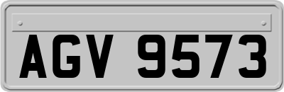 AGV9573