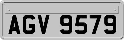 AGV9579
