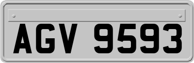 AGV9593