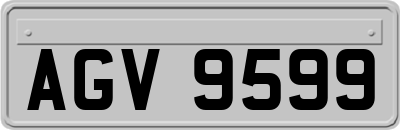 AGV9599