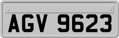 AGV9623