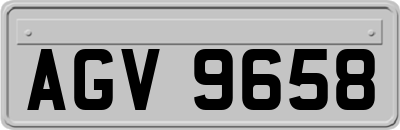 AGV9658