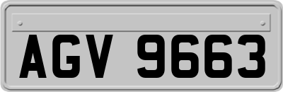 AGV9663