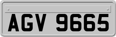 AGV9665