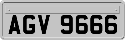 AGV9666