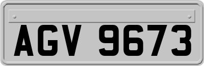 AGV9673