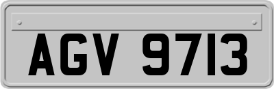 AGV9713