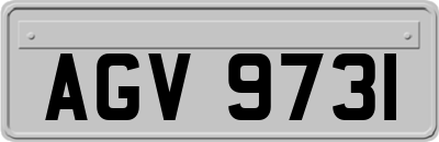 AGV9731