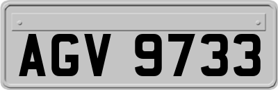 AGV9733