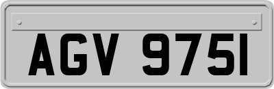 AGV9751