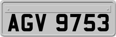 AGV9753