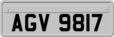AGV9817