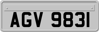 AGV9831