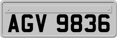 AGV9836