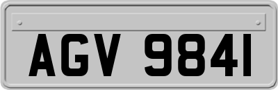 AGV9841