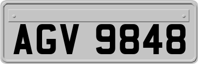 AGV9848