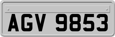 AGV9853