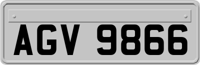 AGV9866
