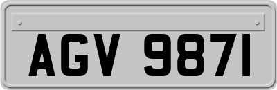 AGV9871