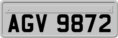 AGV9872