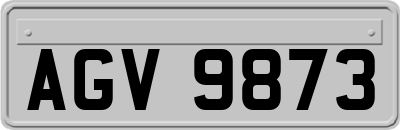 AGV9873