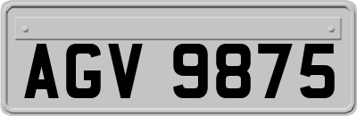 AGV9875