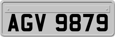 AGV9879