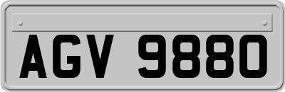 AGV9880