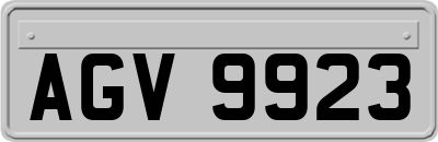 AGV9923