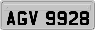 AGV9928