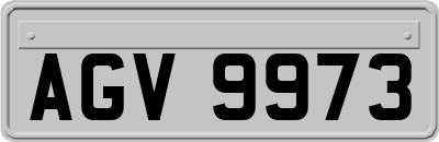 AGV9973