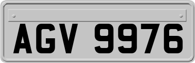AGV9976