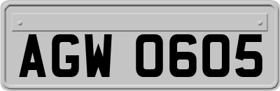 AGW0605
