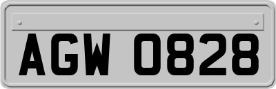 AGW0828