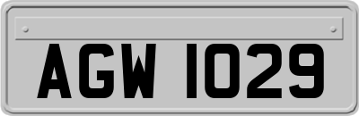 AGW1029