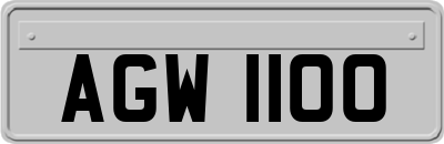 AGW1100