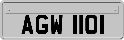 AGW1101